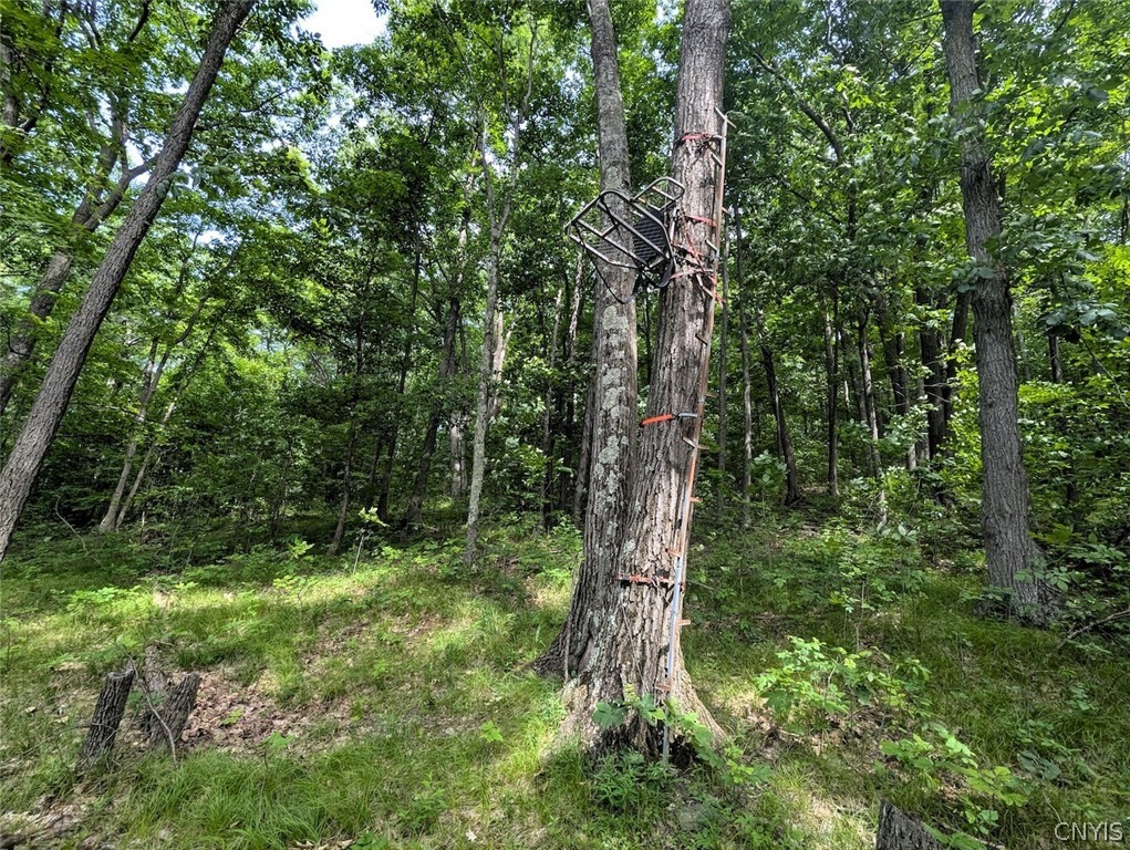 Keifer Hollow Road Dansville, NY 14437 - Photo 10 of 33