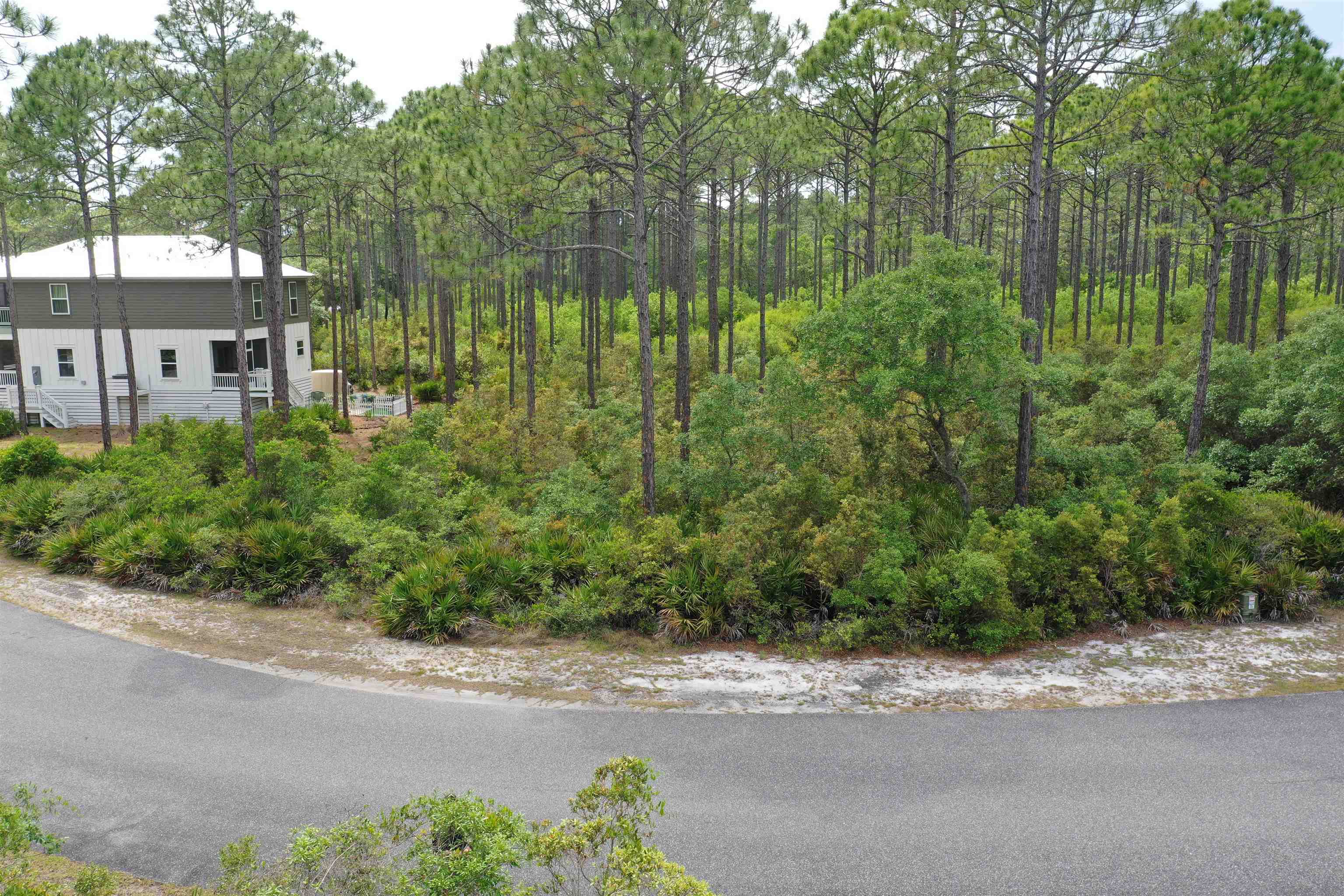 133 Fishhook Way Sopchoppy, FL 32358 - Photo 23 of 28