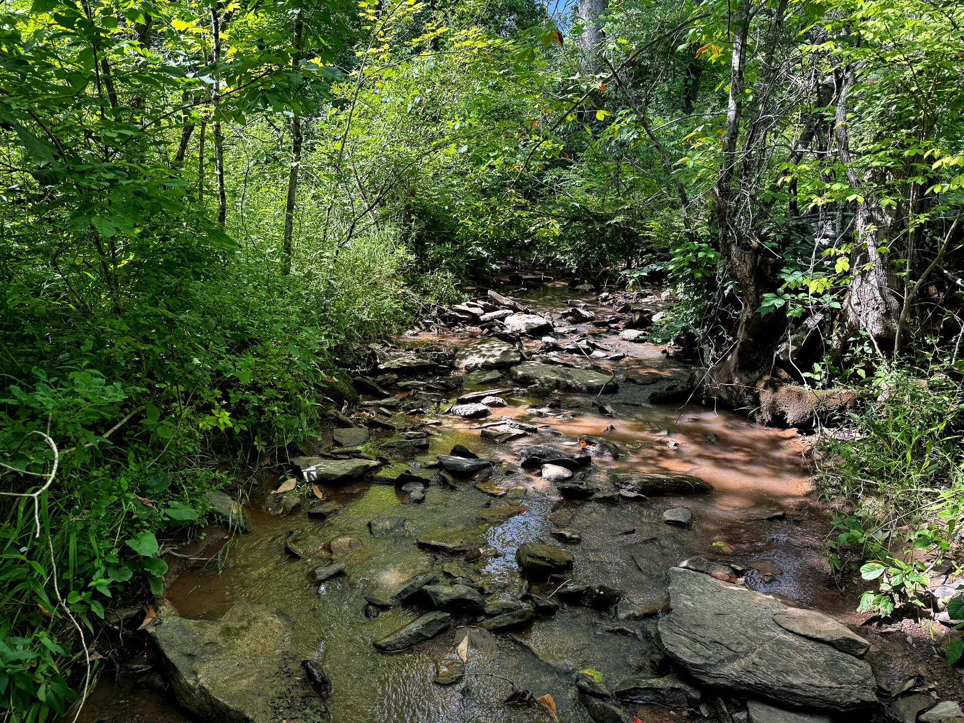 0 Barr Hollow Road, Unit OHIO RIVER RETREAT TRACT 3) Reedsville, OH 45772 - Photo 9 of 29 CT-9