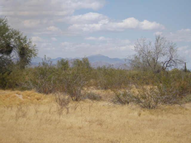 0 West Momoli Road, Unit 109 Maricopa, AZ 85139 - Photo 1 of 3 Primary Photo