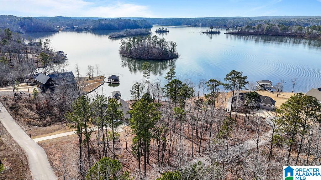2147 Eagle Mountain Road, Unit 12 Rockford, AL 35136 - Photo 7 of 22