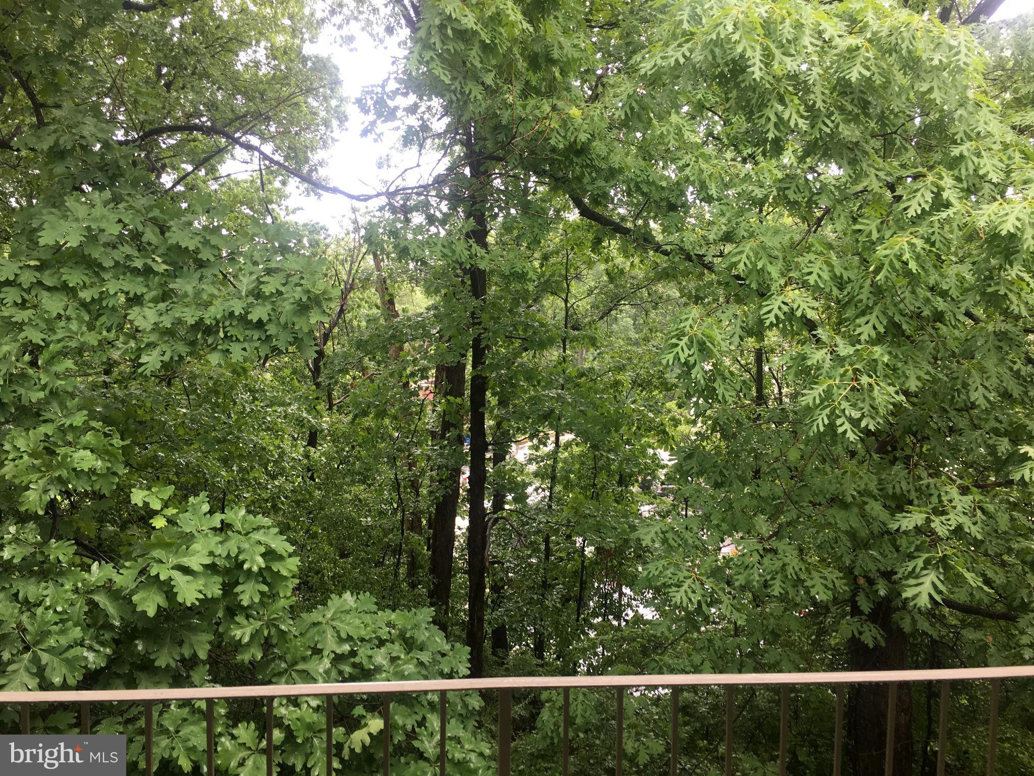 5903 Kingsford Road, Unit H Springfield, VA 22152 - Photo 12 of 18 a view of a fence from a window