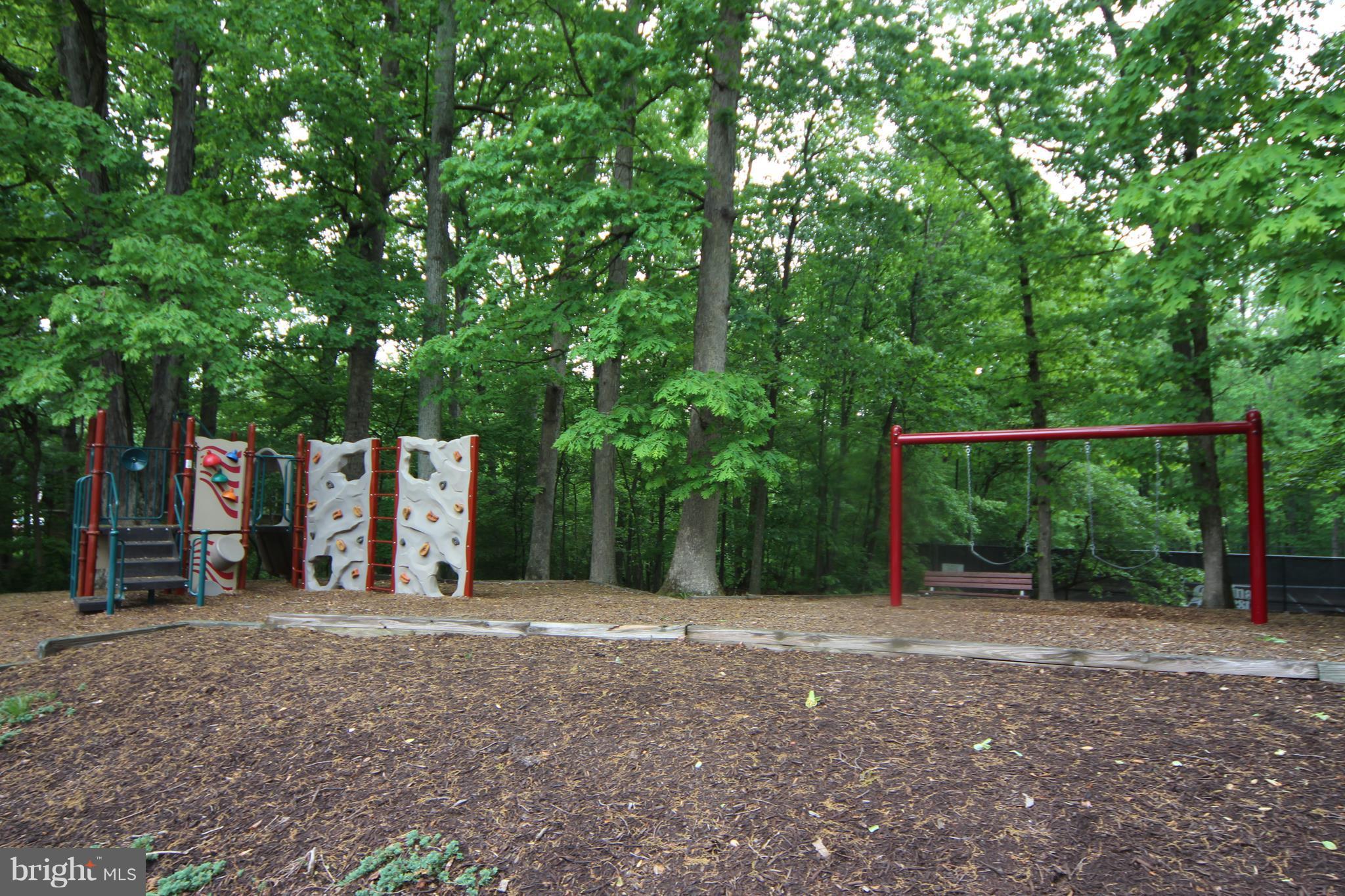 5903 Kingsford Road, Unit H Springfield, VA 22152 - Photo 17 of 18 a view of a backyard with large trees and plants