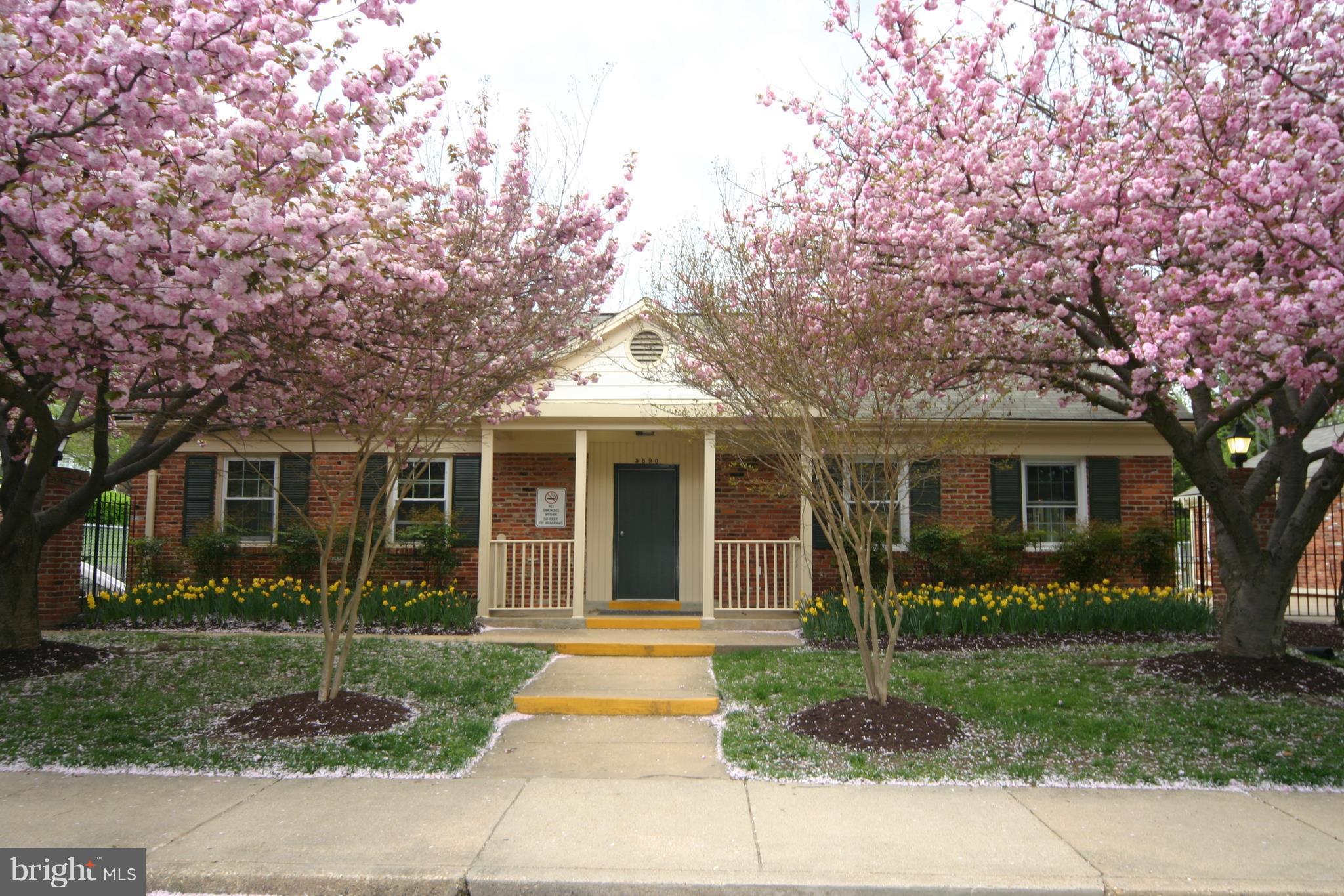 5903 Kingsford Road, Unit H Springfield, VA 22152 - Photo 18 of 18 a front view of a house with garden