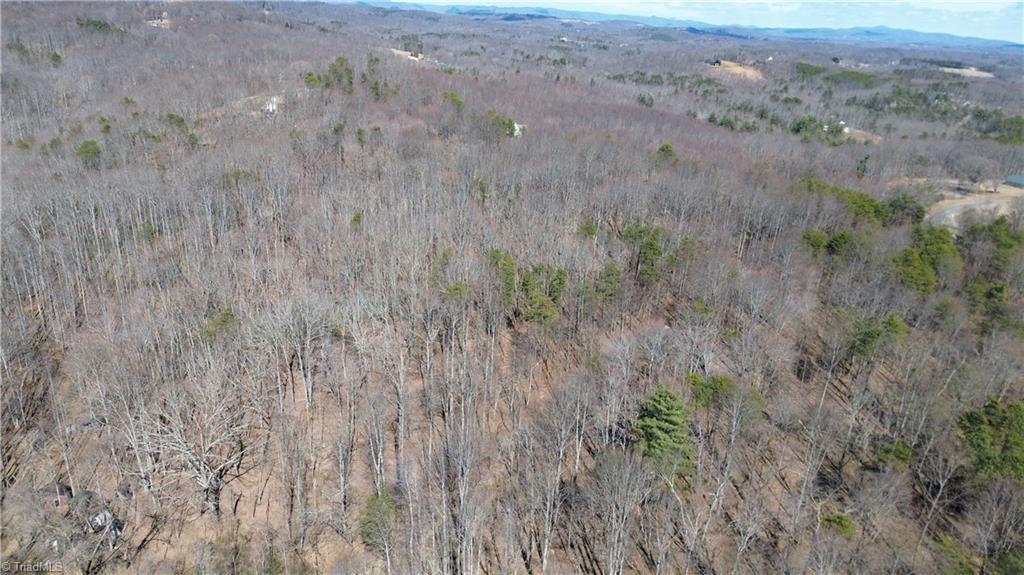 1096-1238 Cook School Road, Unit 97 / AC TRACT Pilot Mountain, NC 27041 - Photo 11 of 48