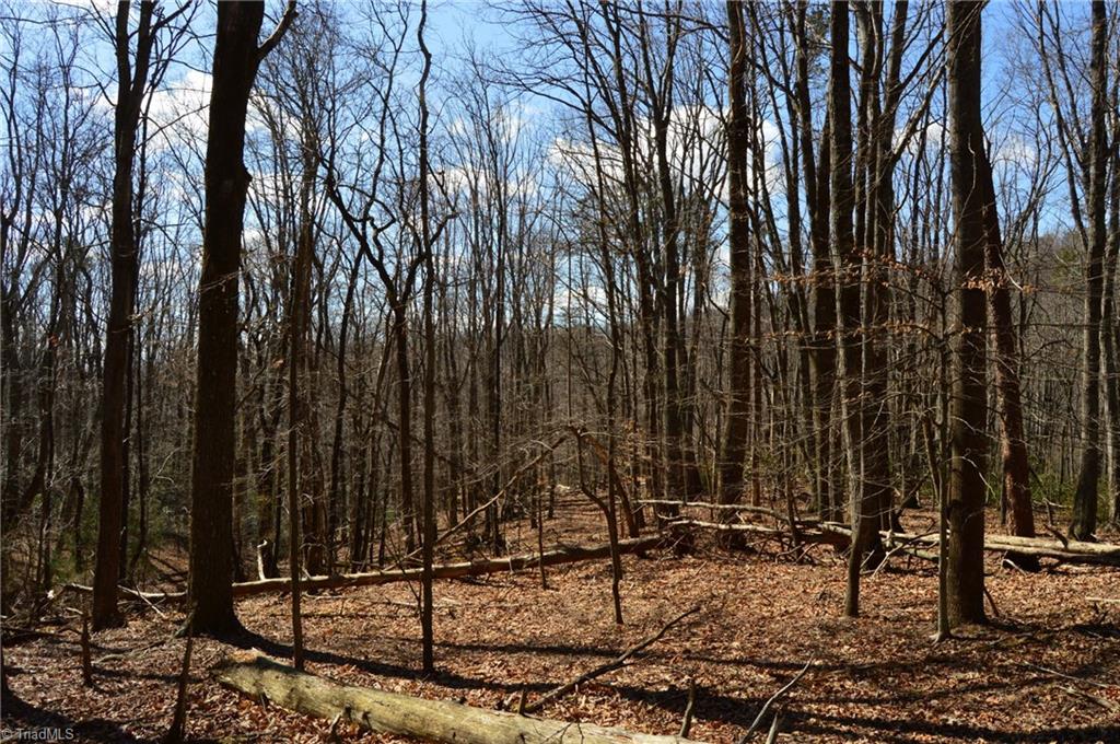 1096-1238 Cook School Road, Unit 97 / AC TRACT Pilot Mountain, NC 27041 - Photo 20 of 48