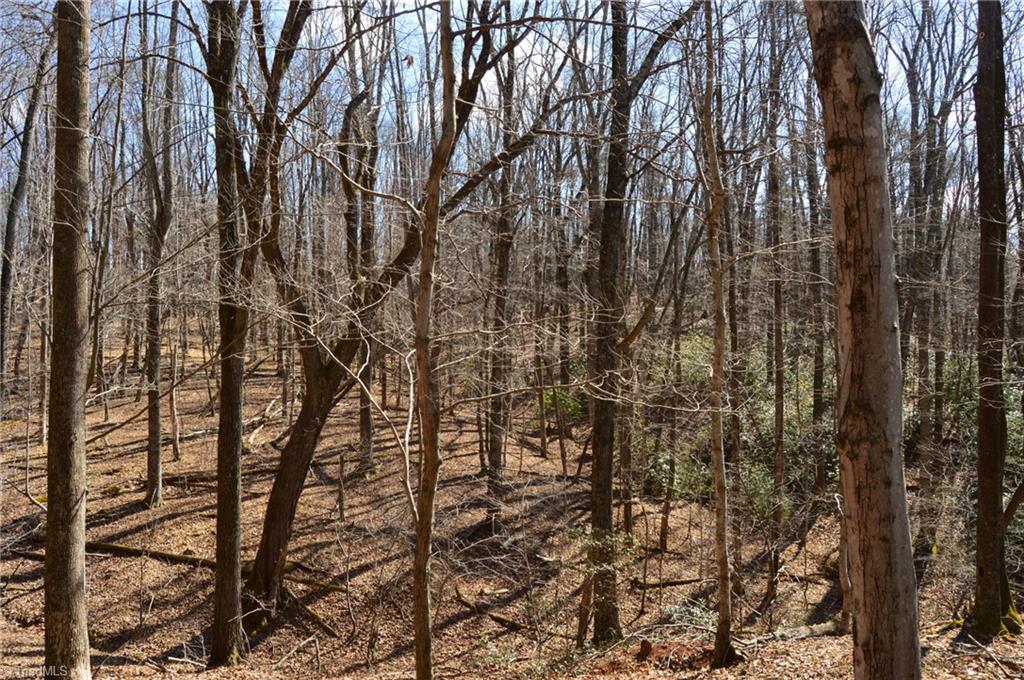 1096-1238 Cook School Road, Unit 97 / AC TRACT Pilot Mountain, NC 27041 - Photo 22 of 48