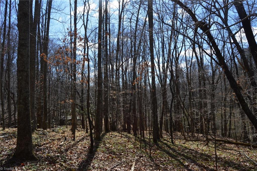1096-1238 Cook School Road, Unit 97 / AC TRACT Pilot Mountain, NC 27041 - Photo 25 of 48