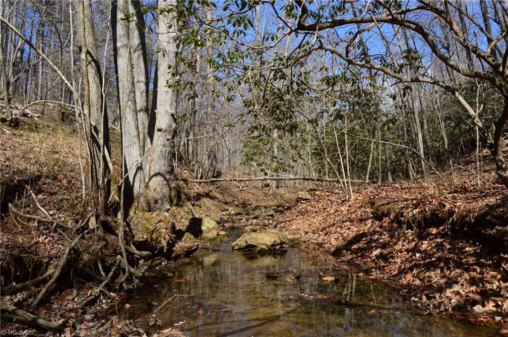 1096-1238 Cook School Road, Unit 97 / AC TRACT Pilot Mountain, NC 27041 - Photo 27 of 48