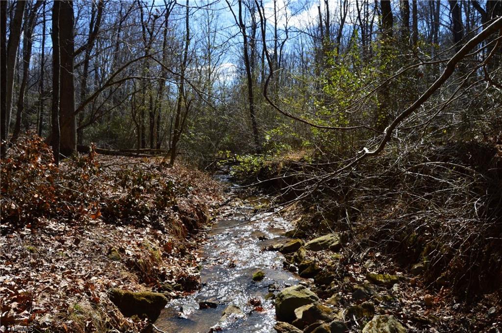 1096-1238 Cook School Road, Unit 97 / AC TRACT Pilot Mountain, NC 27041 - Photo 28 of 48