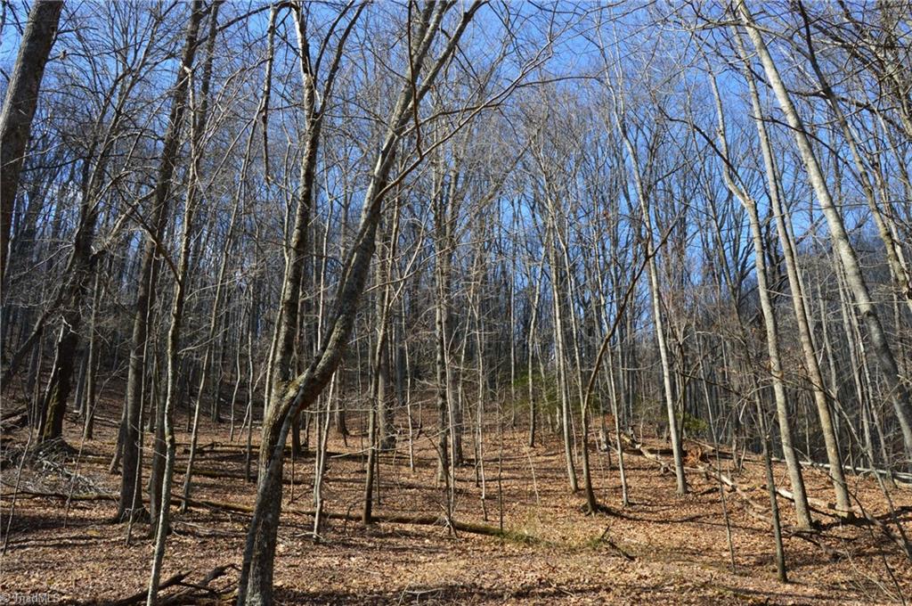 1096-1238 Cook School Road, Unit 97 / AC TRACT Pilot Mountain, NC 27041 - Photo 36 of 48