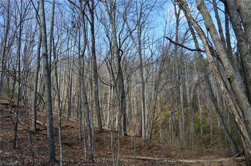 1096-1238 Cook School Road, Unit 97 / AC TRACT Pilot Mountain, NC 27041 - Photo 37 of 48