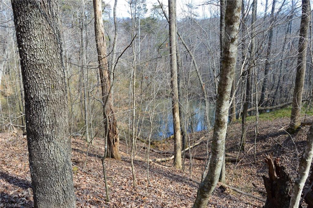 1096-1238 Cook School Road, Unit 97 / AC TRACT Pilot Mountain, NC 27041 - Photo 38 of 48