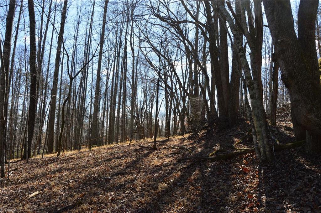 1096-1238 Cook School Road, Unit 97 / AC TRACT Pilot Mountain, NC 27041 - Photo 42 of 48