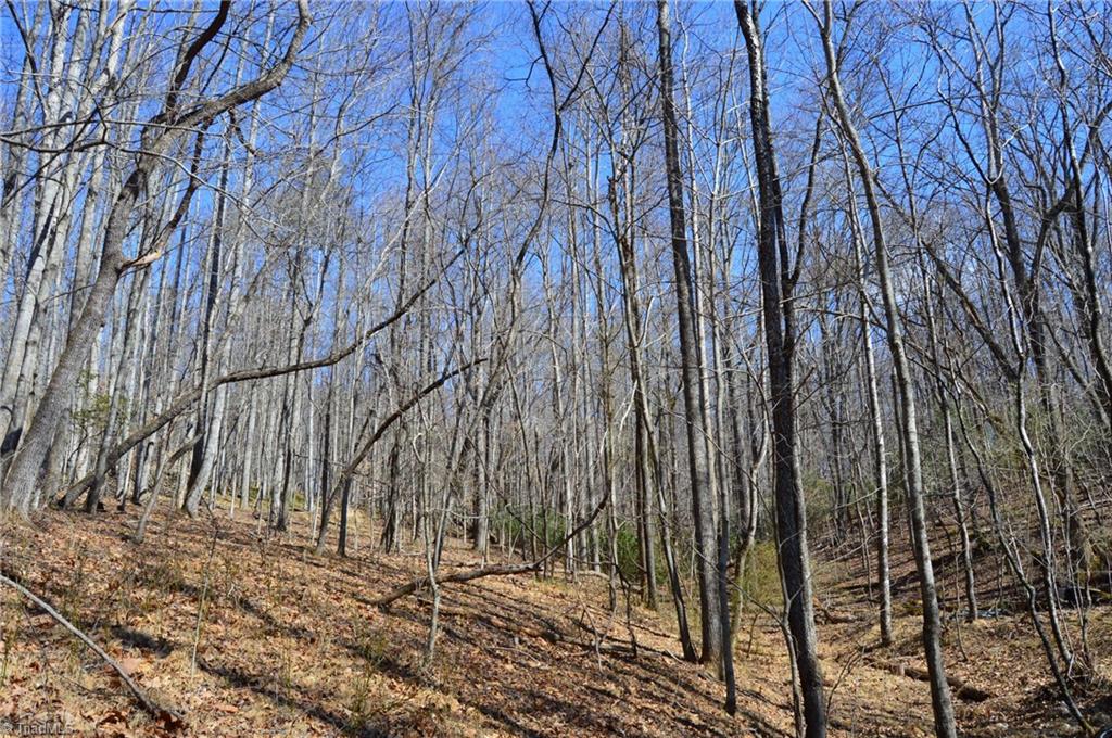 1096-1238 Cook School Road, Unit 97 / AC TRACT Pilot Mountain, NC 27041 - Photo 44 of 48