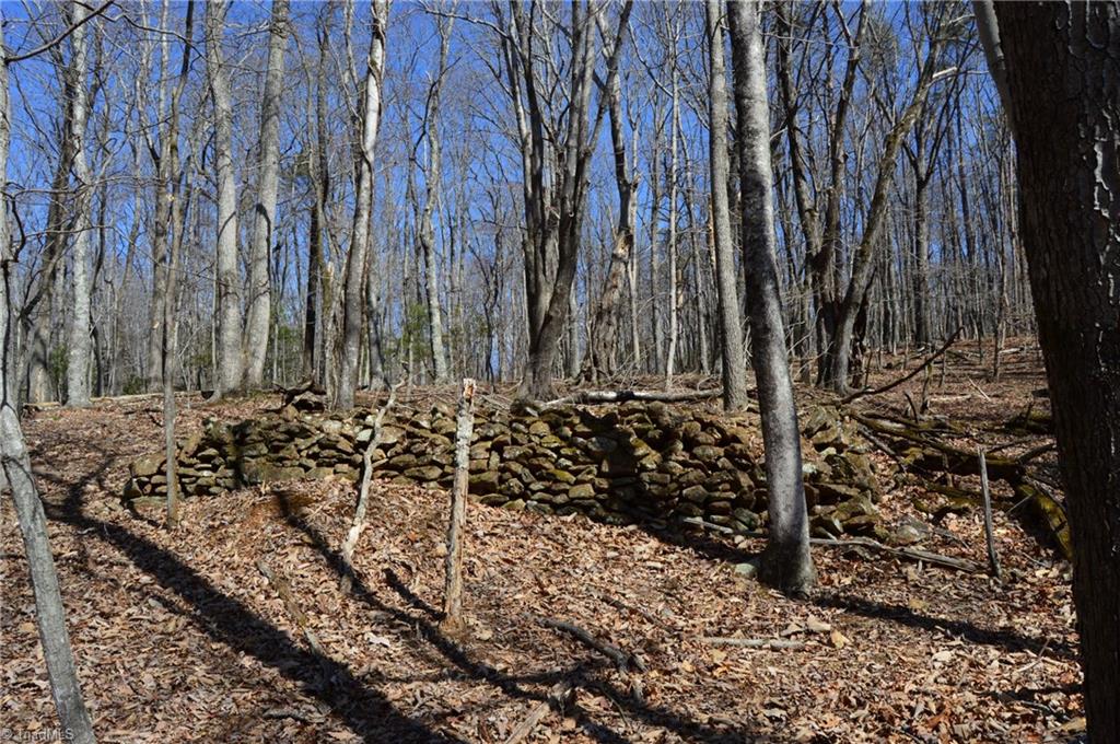 1096-1238 Cook School Road, Unit 97 / AC TRACT Pilot Mountain, NC 27041 - Photo 46 of 48
