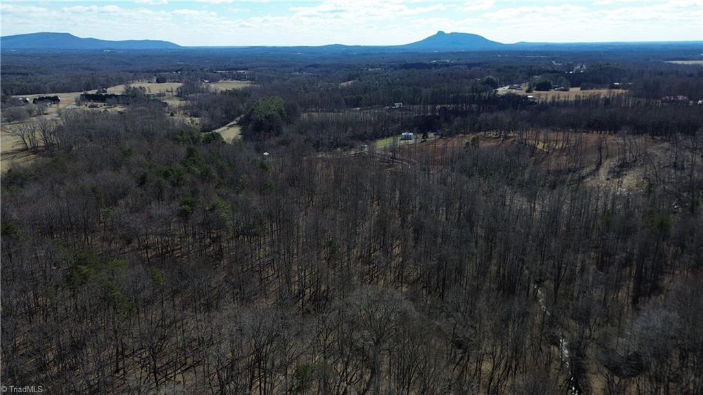 1096-1238 Cook School Road, Unit 97 / AC TRACT Pilot Mountain, NC 27041 - Photo 8 of 48
