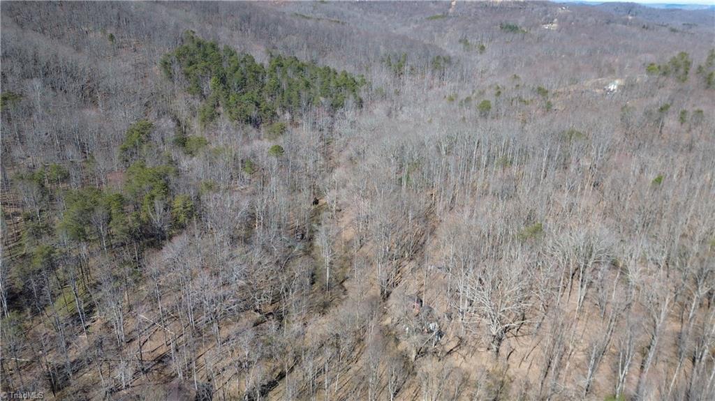 1096-1238 Cook School Road, Unit 97 / AC TRACT Pilot Mountain, NC 27041 - Photo 10 of 48