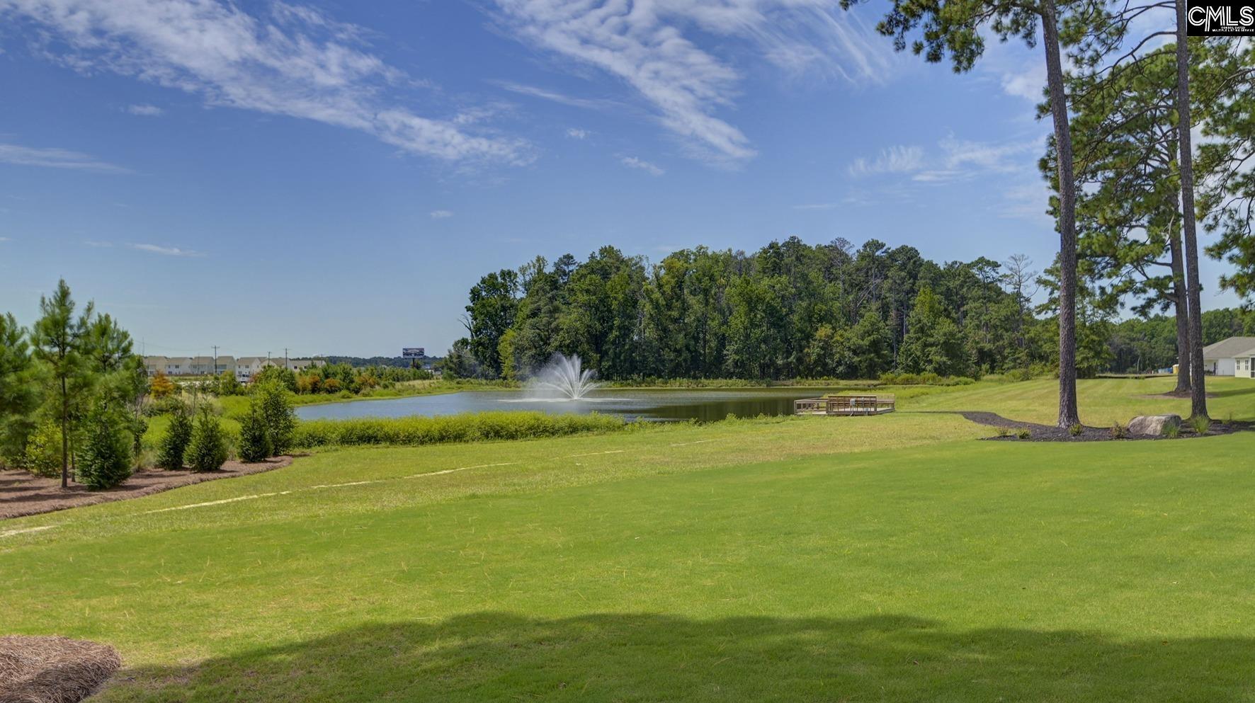 209 Ruby Prince Road Gilbert, SC 29054 - Photo 34 of 38