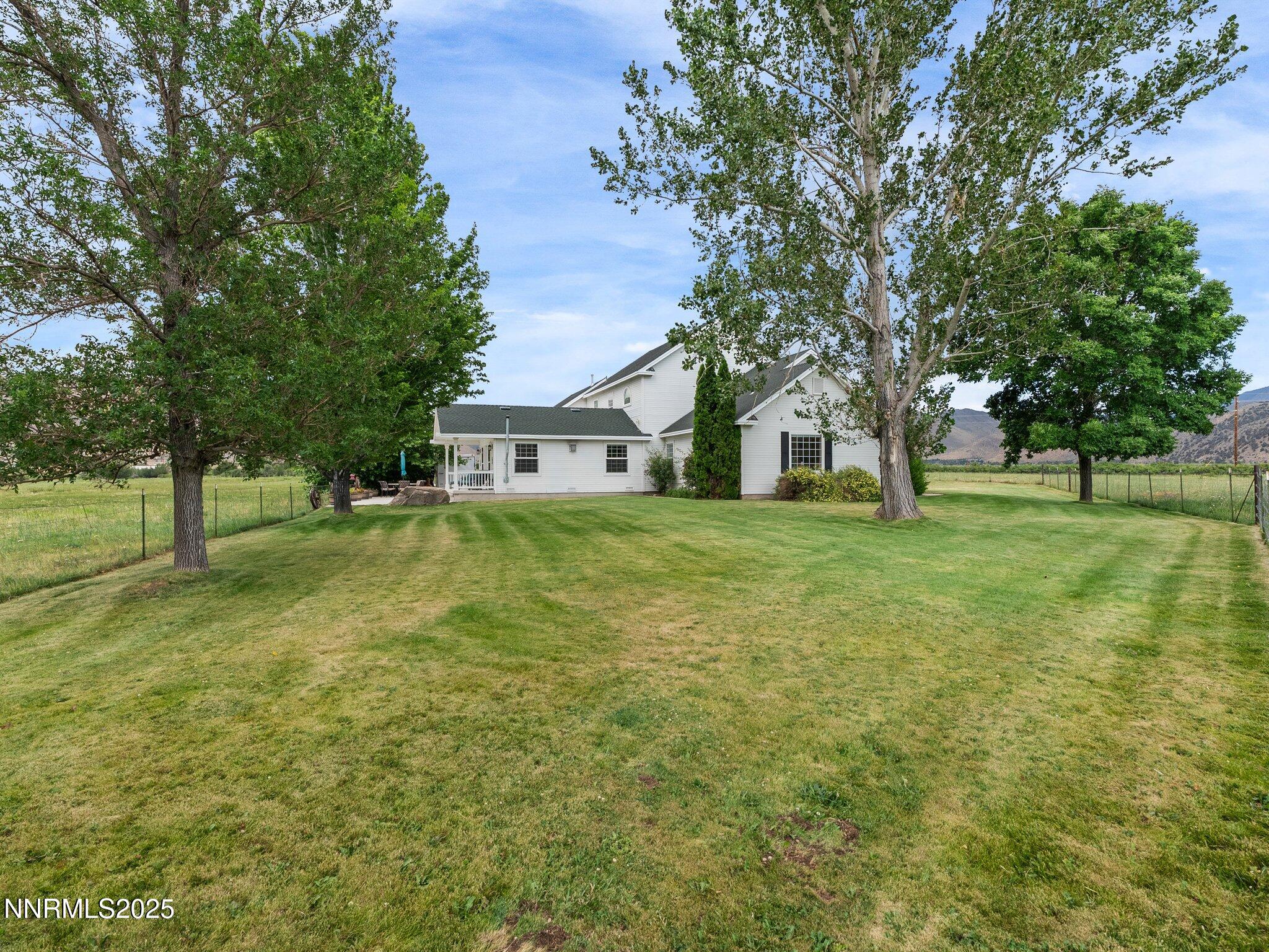 801 Larson Lane Coleville, CA 96107 - Photo 30 of 37 a view of a tree in front of a house with a big yard