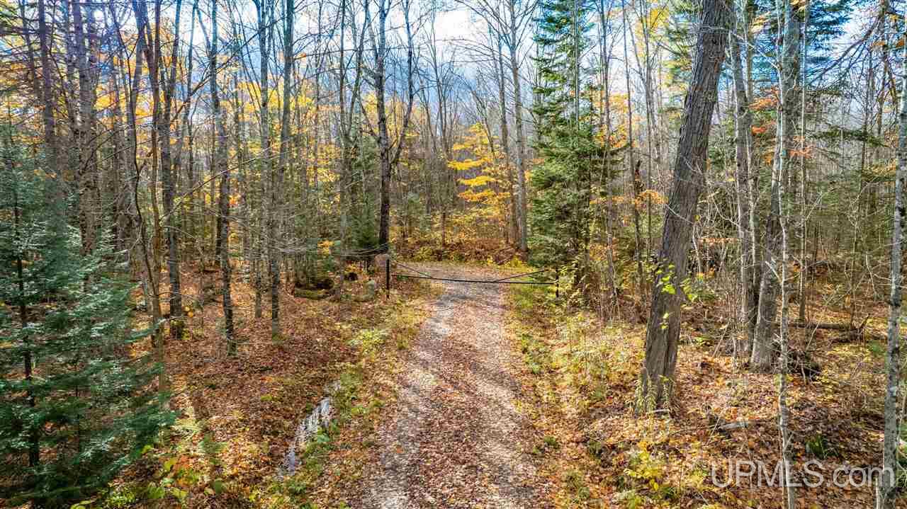 Tbd Tbd Iron Gate Road Mohawk, MI 49950 - Photo 16 of 17