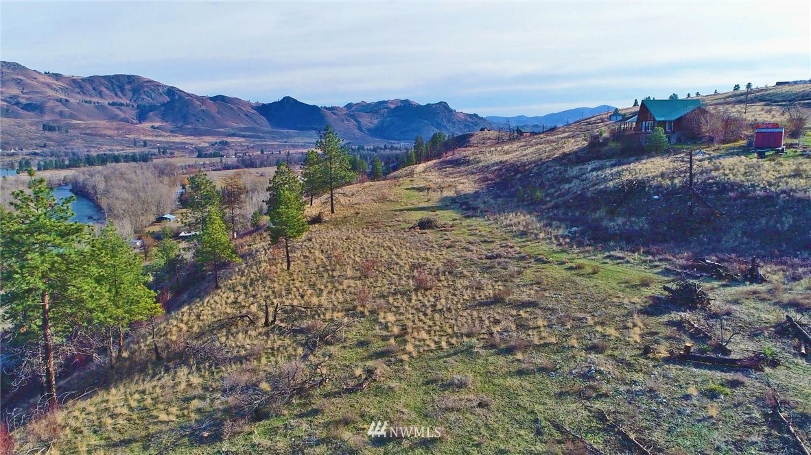1 Rising Eagle Road, Unit RD Twisp, WA 98856 - Photo 2 of 40 a view of a backyard with green space