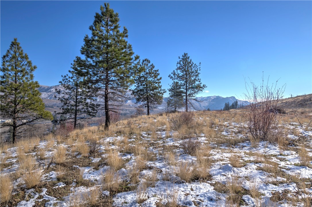 1 Rising Eagle Road, Unit RD Twisp, WA 98856 - Photo 11 of 40 a view of yard covered with snow in the background