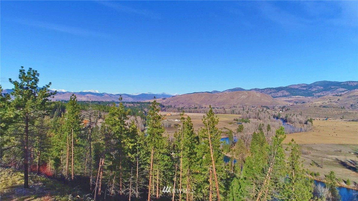 1 Rising Eagle Road, Unit RD Twisp, WA 98856 - Photo 12 of 40 a view of a lake with a mountain in the background
