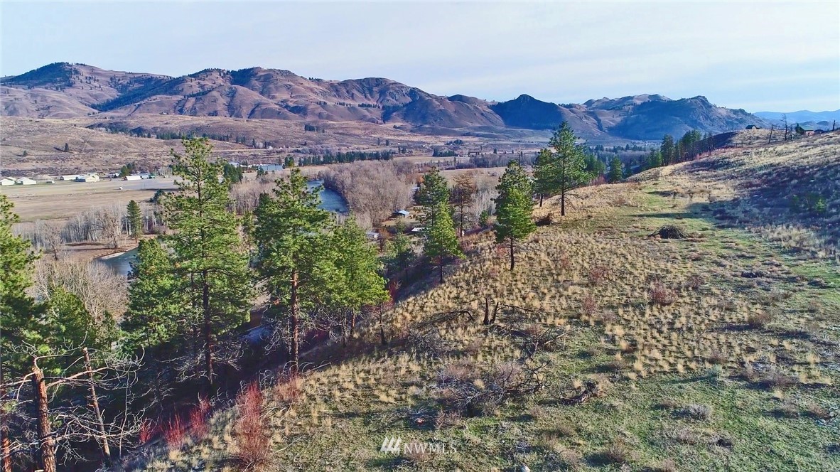 1 Rising Eagle Road, Unit RD Twisp, WA 98856 - Photo 14 of 40 a view of a lush green hillside and a houses
