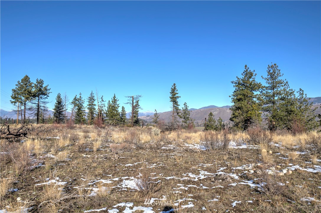 1 Rising Eagle Road, Unit RD Twisp, WA 98856 - Photo 15 of 40 a view of a yard with a tree