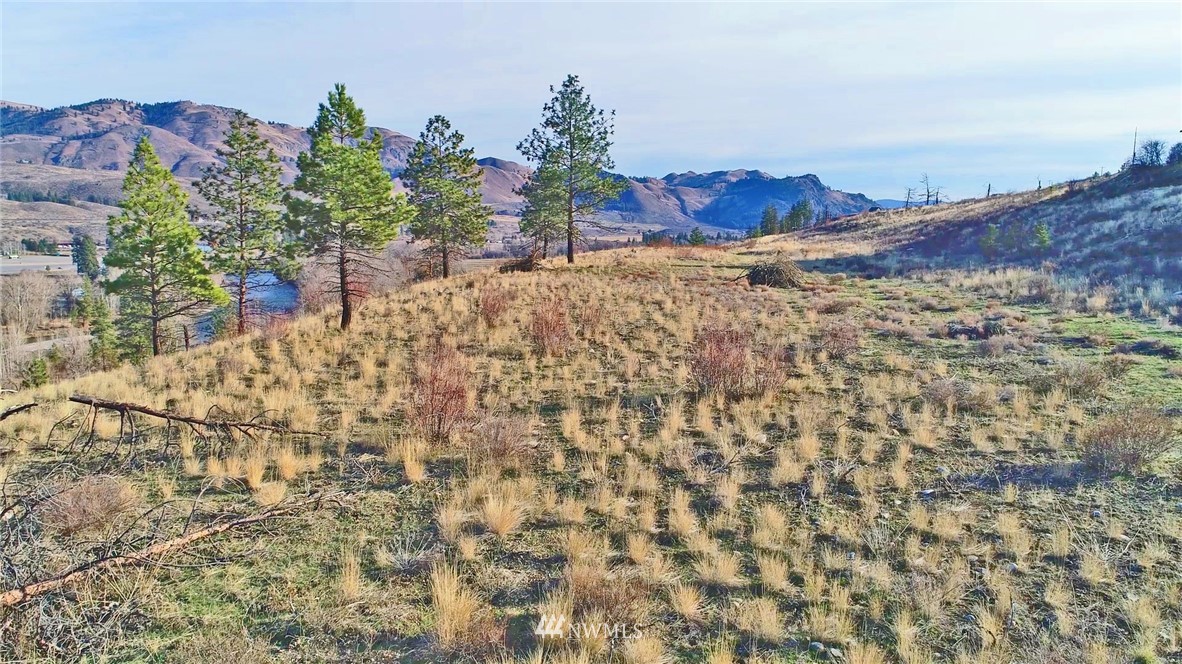 1 Rising Eagle Road, Unit RD Twisp, WA 98856 - Photo 16 of 40 a view of a house with a yard and mountain
