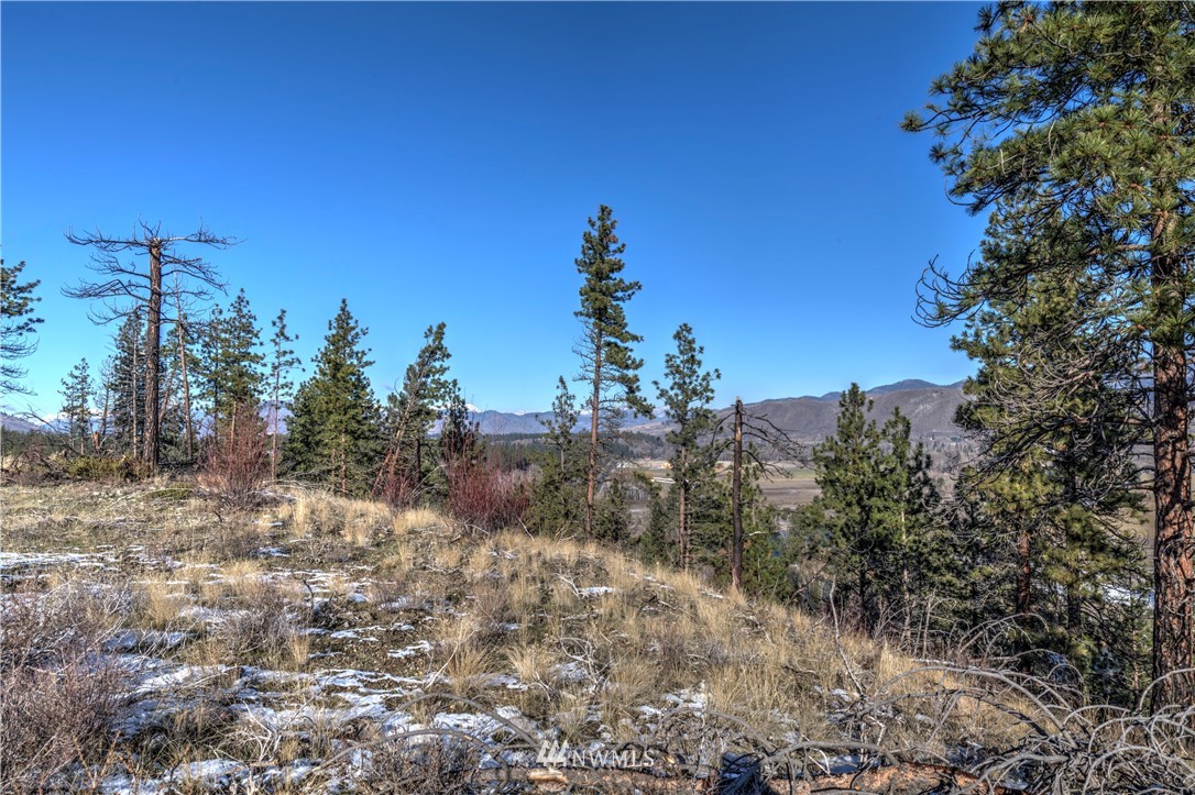 1 Rising Eagle Road, Unit RD Twisp, WA 98856 - Photo 18 of 40 a view of a yard with a tree