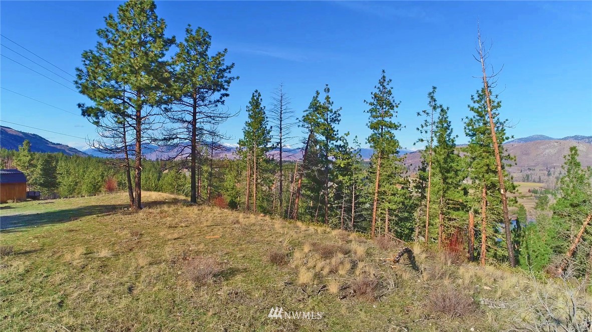 1 Rising Eagle Road, Unit RD Twisp, WA 98856 - Photo 19 of 40 a view of a tree with a yard