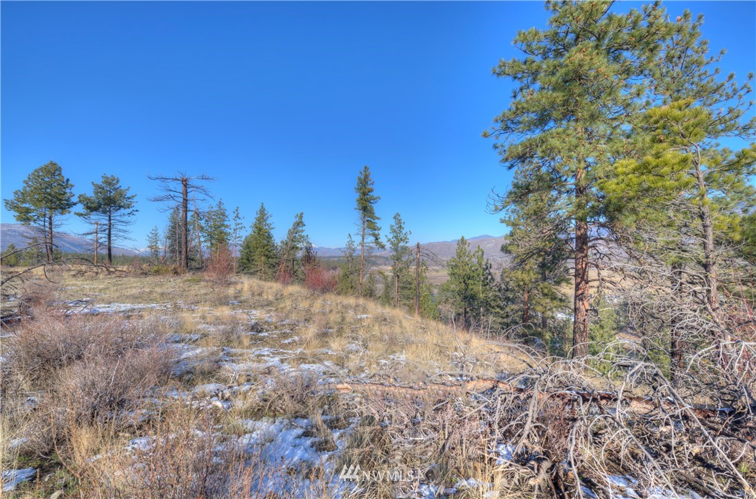 1 Rising Eagle Road, Unit RD Twisp, WA 98856 - Photo 3 of 40 a view of a yard with trees in the background