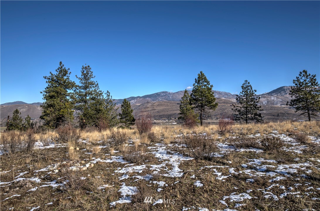 1 Rising Eagle Road, Unit RD Twisp, WA 98856 - Photo 22 of 40 a view of a yard