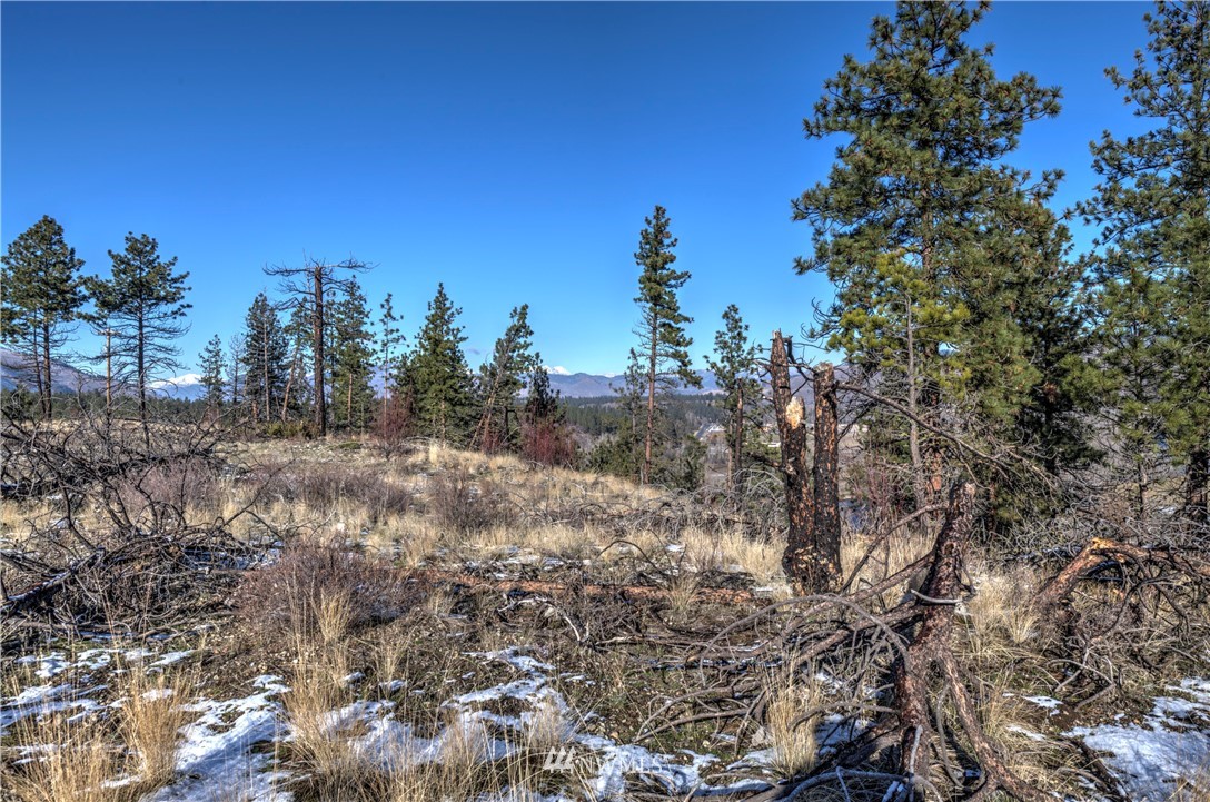 1 Rising Eagle Road, Unit RD Twisp, WA 98856 - Photo 24 of 40 a view of a yard with a tree