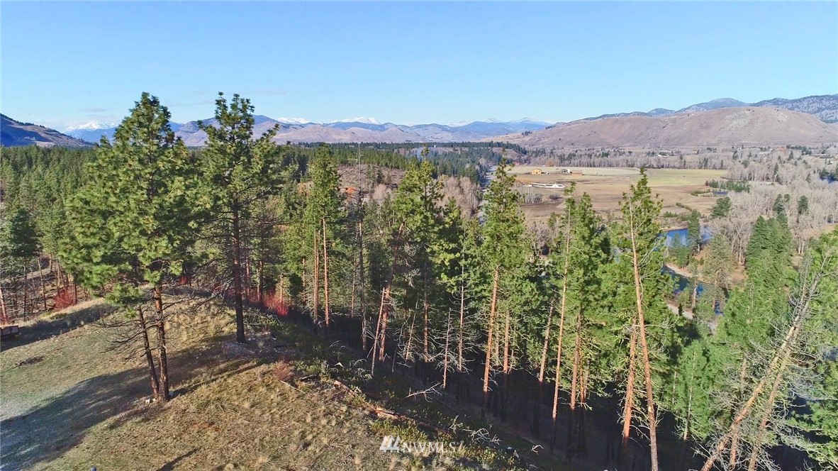 1 Rising Eagle Road, Unit RD Twisp, WA 98856 - Photo 25 of 40 a view of a city with mountains in the background
