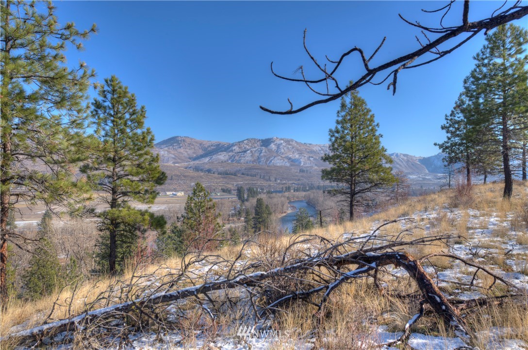 1 Rising Eagle Road, Unit RD Twisp, WA 98856 - Photo 26 of 40 a view of a tree in a yard