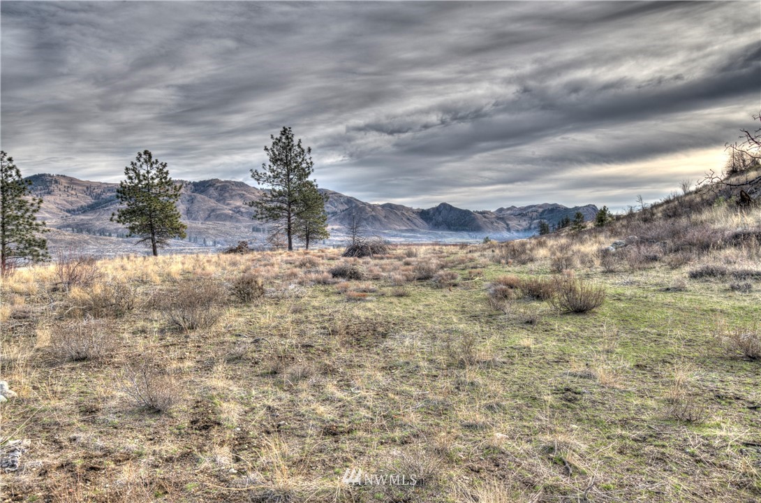 1 Rising Eagle Road, Unit RD Twisp, WA 98856 - Photo 28 of 40 a view of a dry yard with lots of bushes