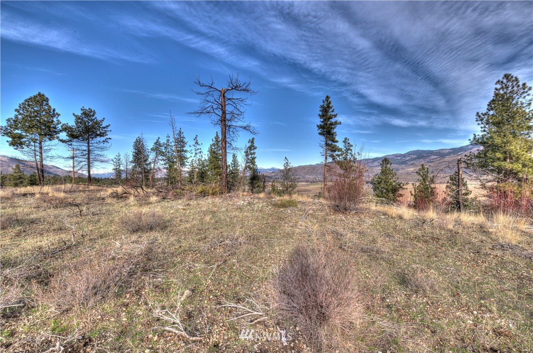 1 Rising Eagle Road, Unit RD Twisp, WA 98856 - Photo 30 of 40 a view of a dry yard with trees