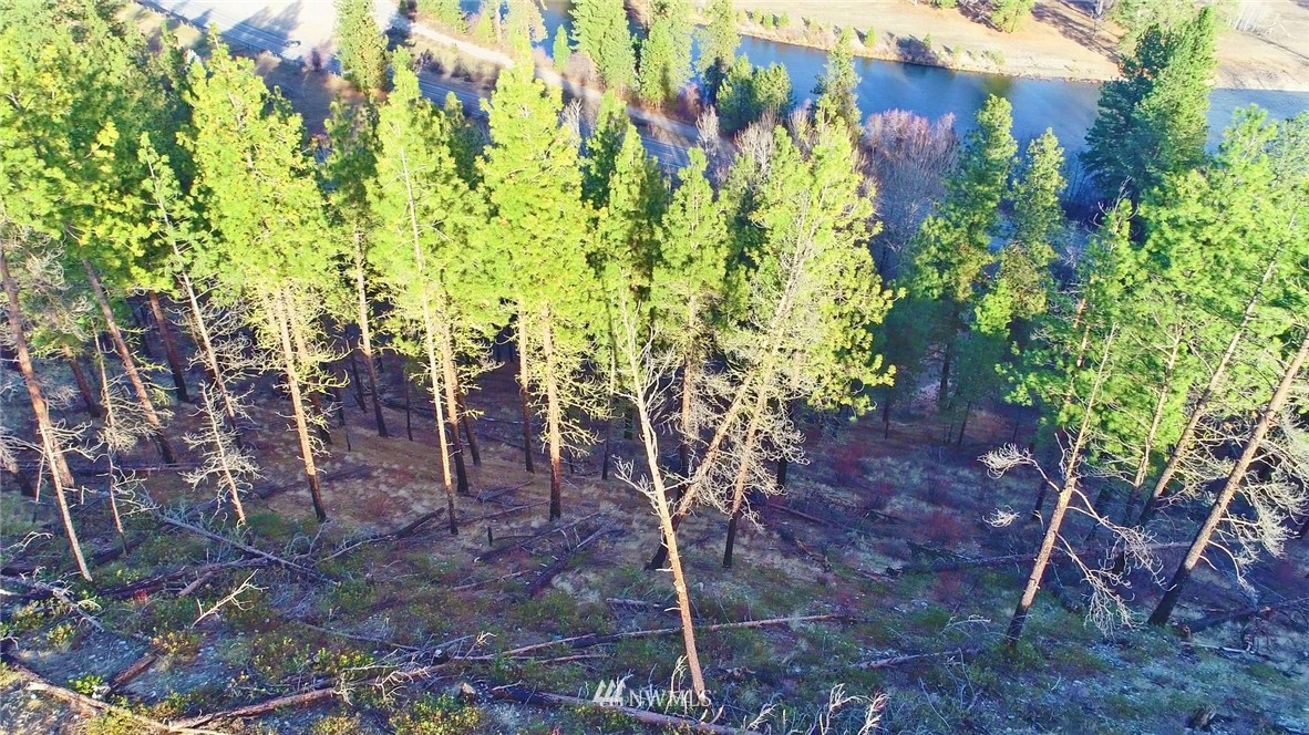 1 Rising Eagle Road, Unit RD Twisp, WA 98856 - Photo 4 of 40 a view of statue in a garden