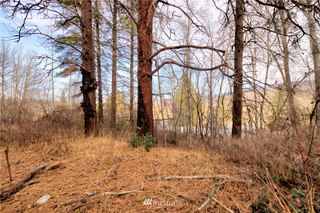 1 Rising Eagle Road, Unit RD Twisp, WA 98856 - Photo 31 of 40 a backyard of a house with lots of green space