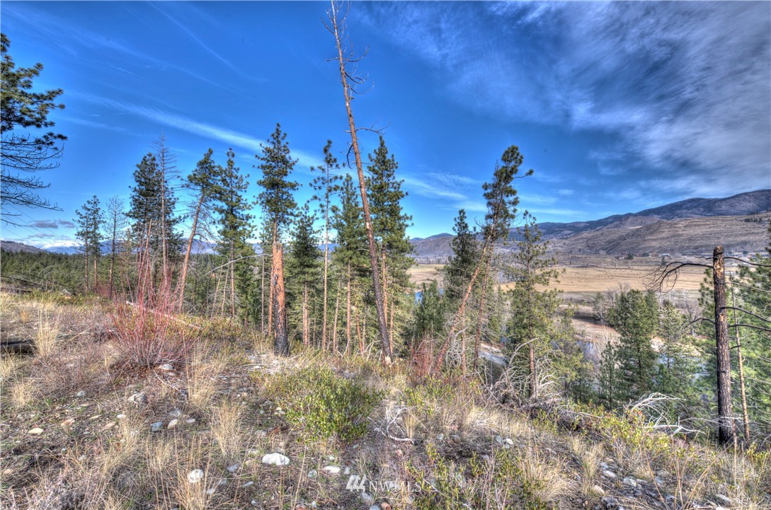 1 Rising Eagle Road, Unit RD Twisp, WA 98856 - Photo 32 of 40 a view of a lake