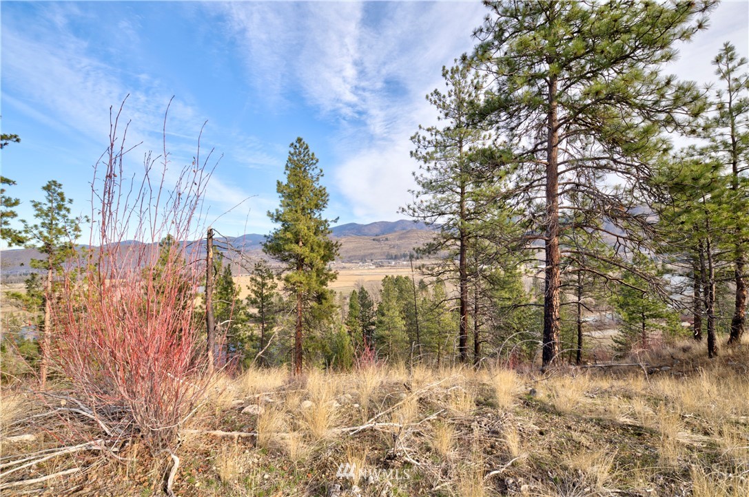 1 Rising Eagle Road, Unit RD Twisp, WA 98856 - Photo 34 of 40 a view of river covered by trees and buildings