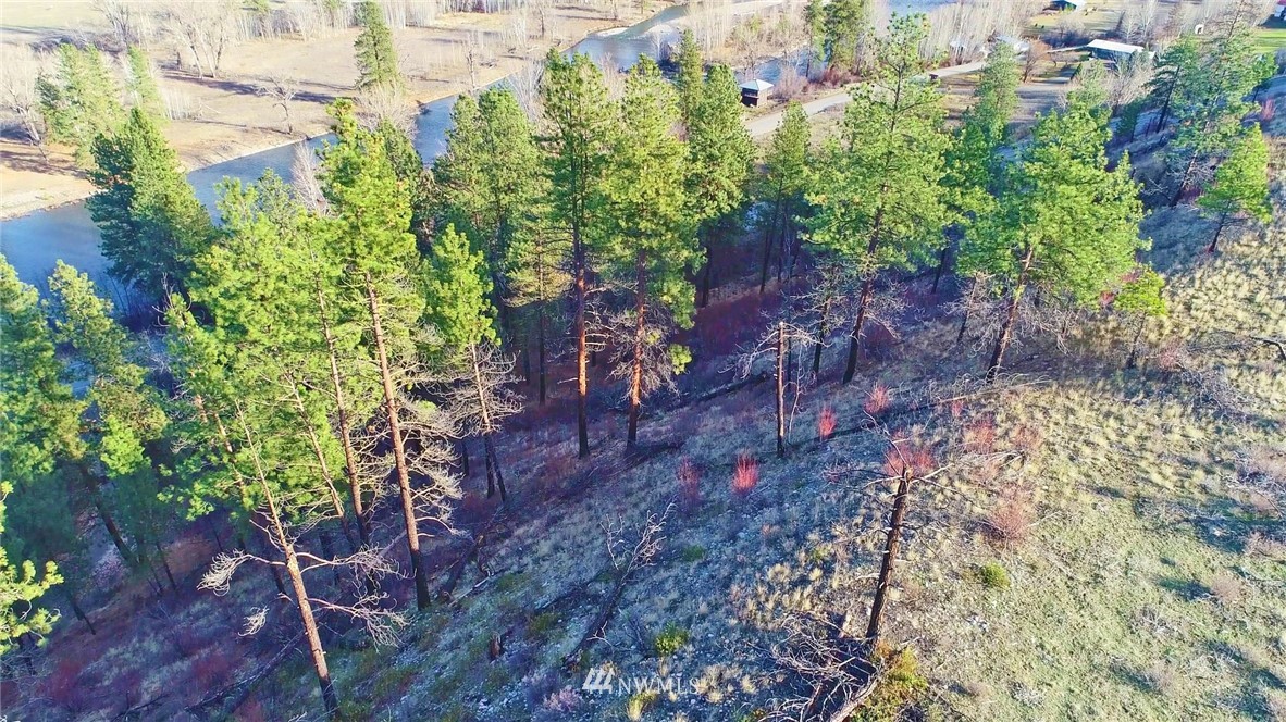 1 Rising Eagle Road, Unit RD Twisp, WA 98856 - Photo 35 of 40 a backyard of a house with lots of green space