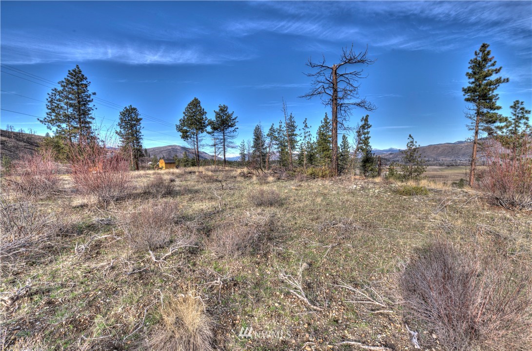 1 Rising Eagle Road, Unit RD Twisp, WA 98856 - Photo 36 of 40 a view of a outdoor space