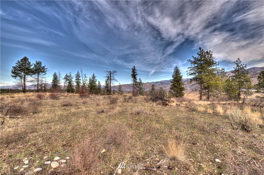 1 Rising Eagle Road, Unit RD Twisp, WA 98856 - Photo 37 of 40 a view of a yard