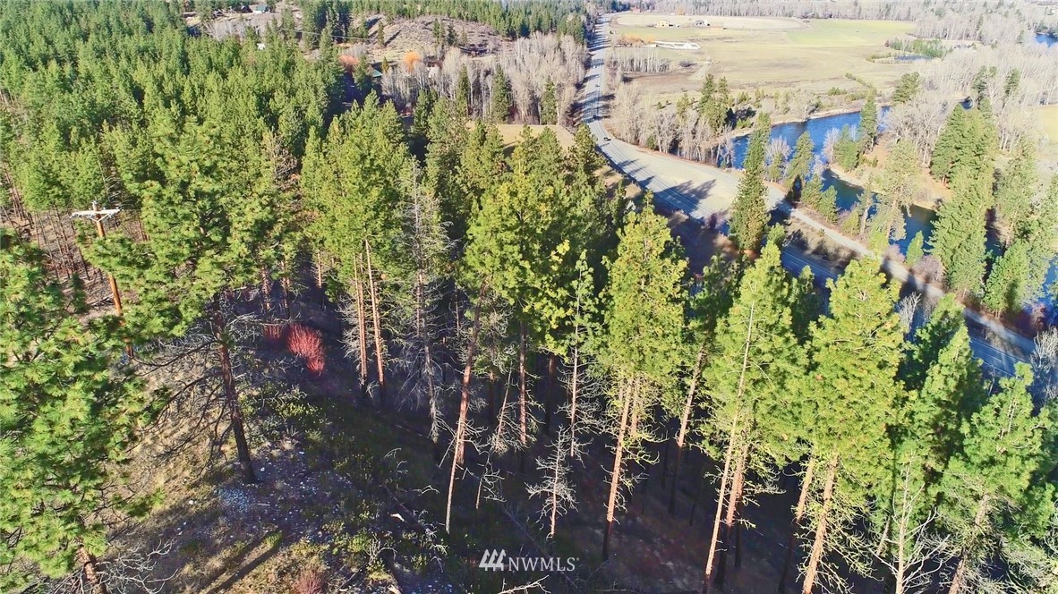 1 Rising Eagle Road, Unit RD Twisp, WA 98856 - Photo 38 of 40 a view of a yard with plants and trees