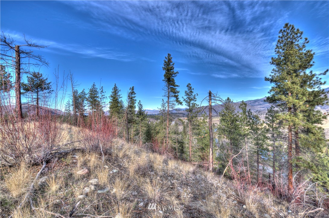 1 Rising Eagle Road, Unit RD Twisp, WA 98856 - Photo 39 of 40 a view of a pathway with a yard