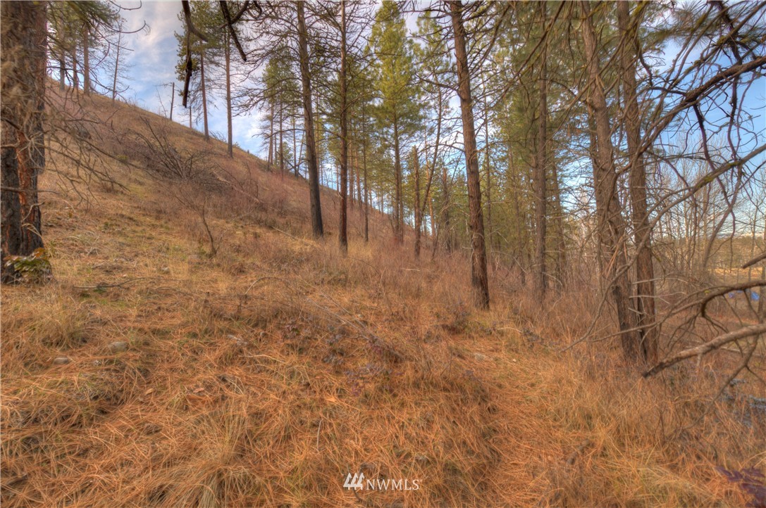 1 Rising Eagle Road, Unit RD Twisp, WA 98856 - Photo 40 of 40